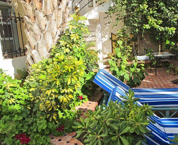 Maison Des Palmiers Essaouira Eksteriør billede